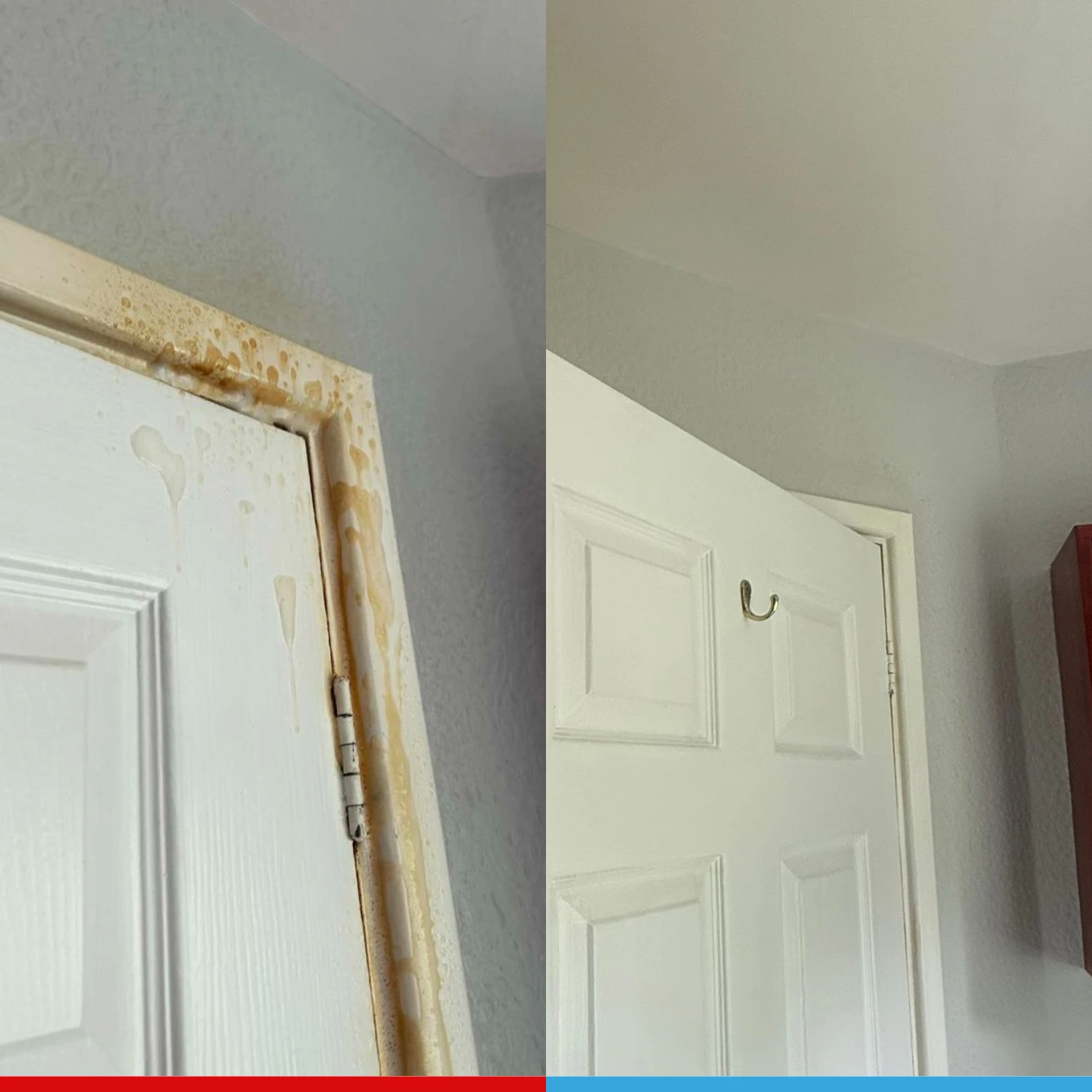 Home 1 domestic cleaning